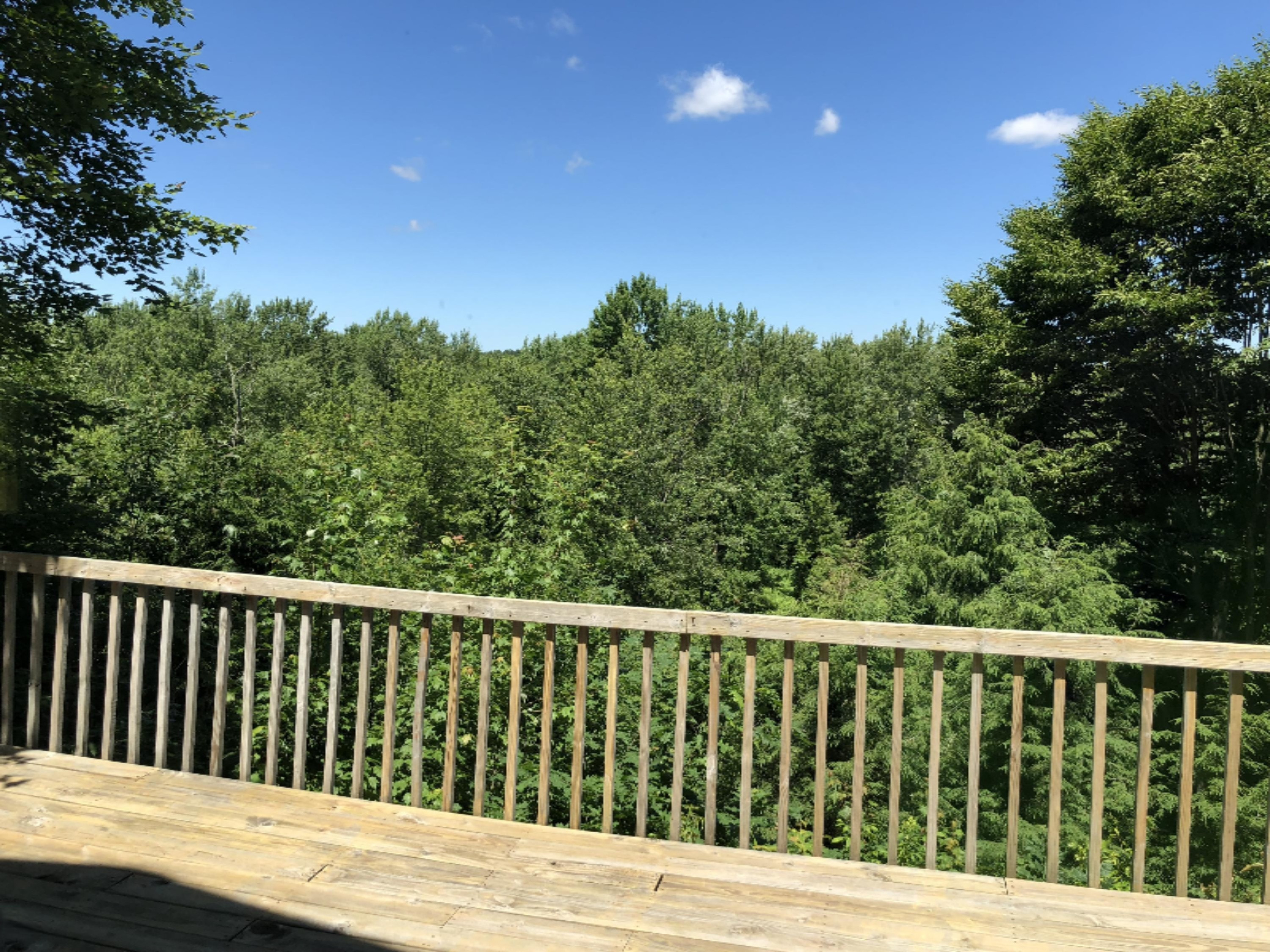 3075 Skeels Road Holton, MI 49425 - Photo 41 of 49 IMG_0530