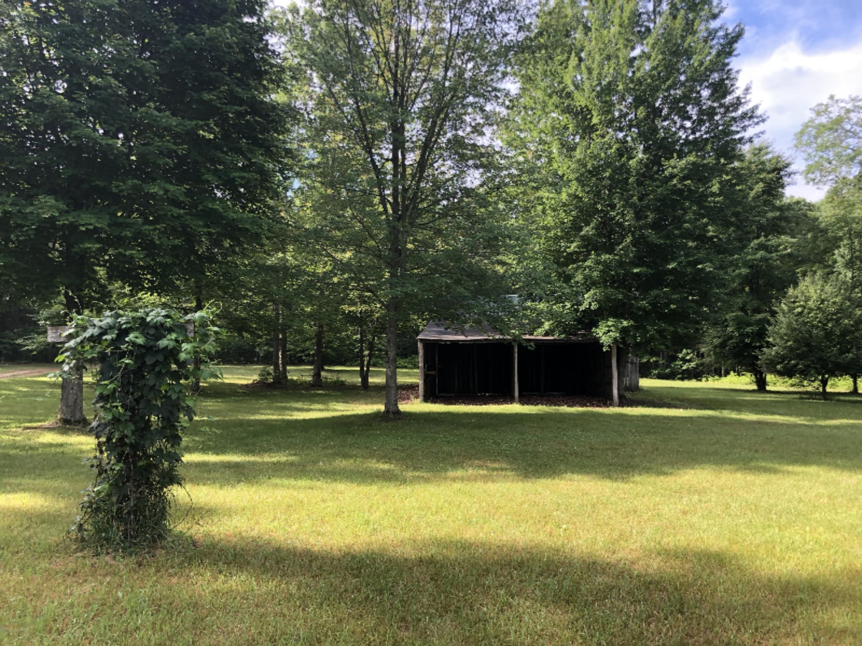3075 Skeels Road Holton, MI 49425 - Photo 10 of 49 IMG_0461