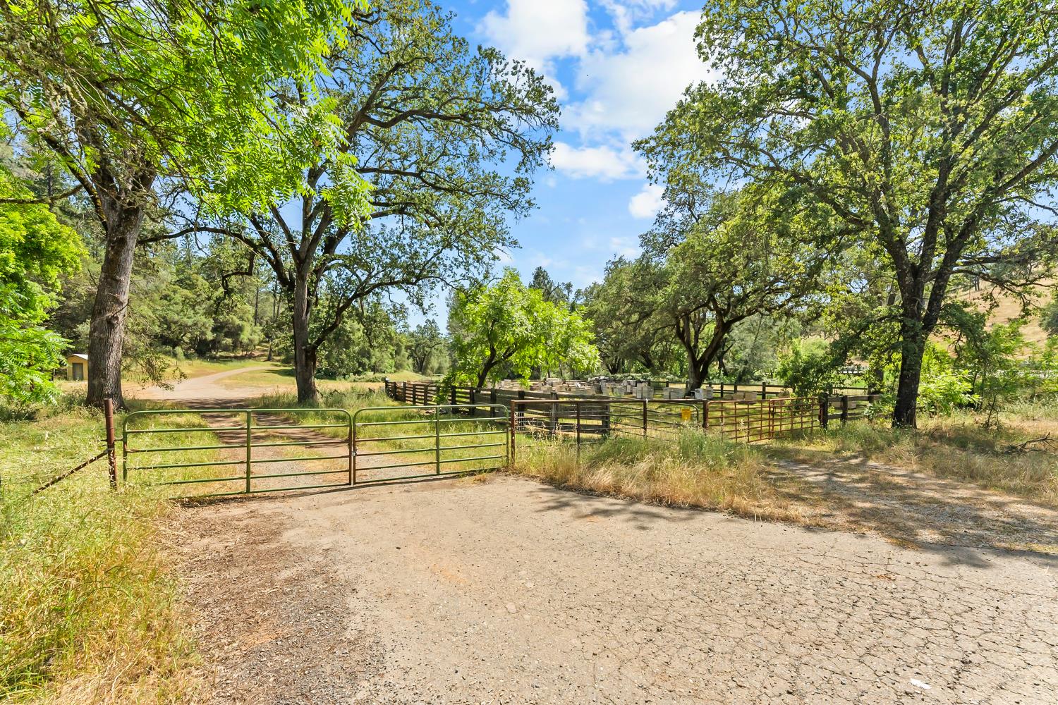 12850 Fiddletown Road Plymouth, CA 95669 - Photo 7 of 88 Corrals off Fiddletown road