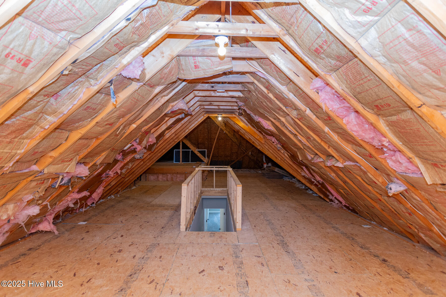 24 McNish Road Southern Pines, NC 28387 - Photo 31 of 41 attic1