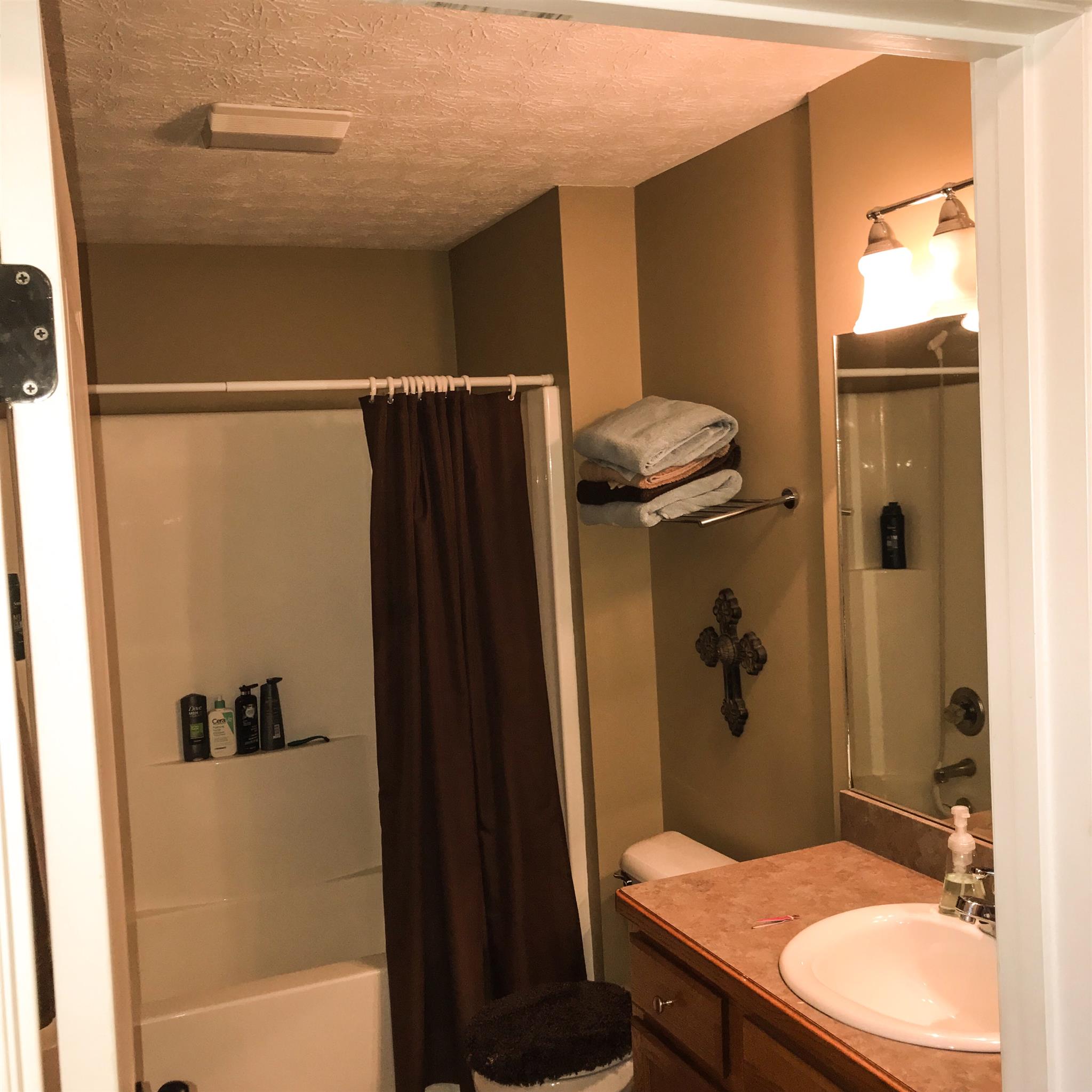 714 Arabian Lane Springfield, TN 37172 - Photo 15 of 25 Hall bathroom.