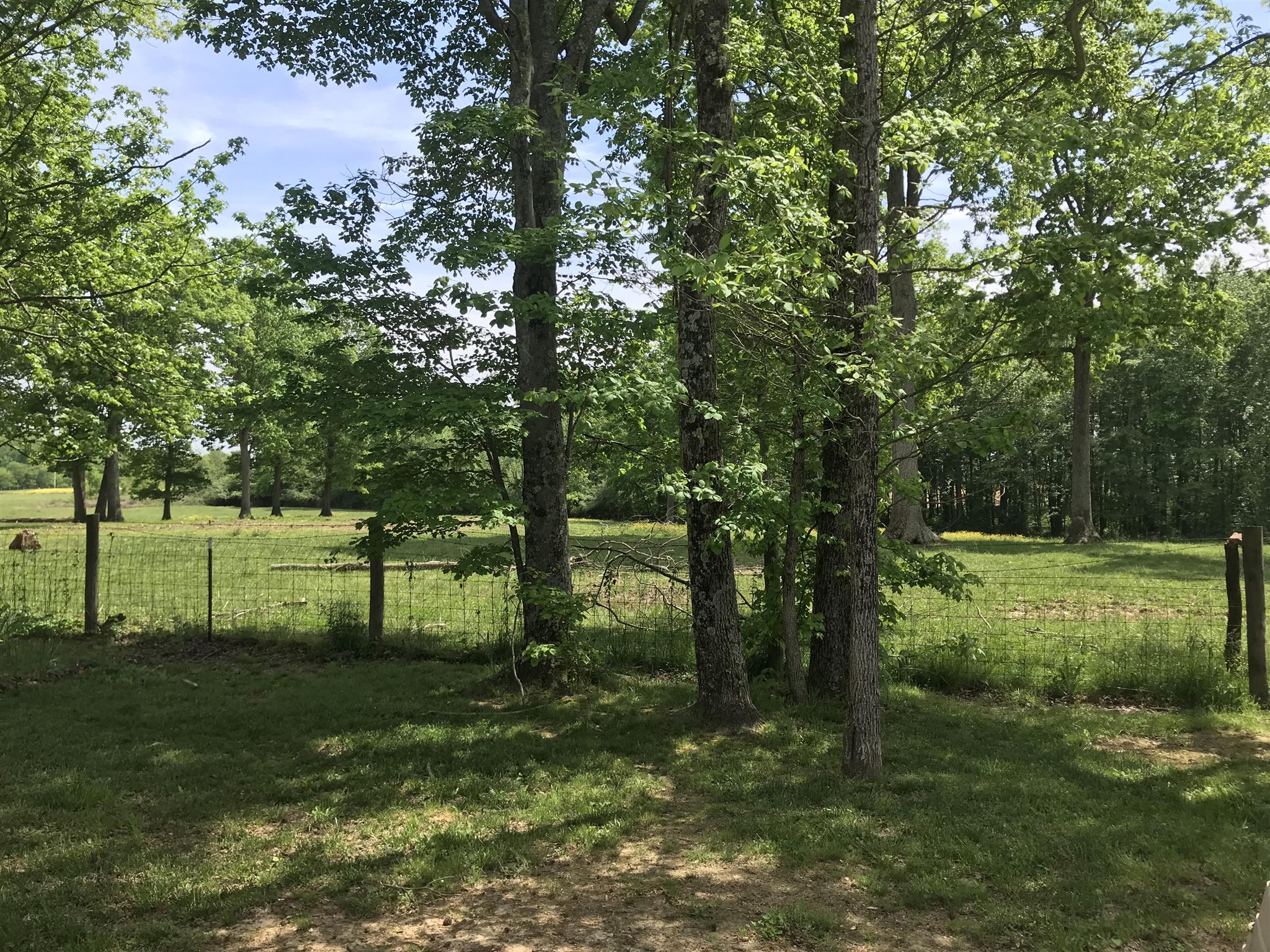 714 Arabian Lane Springfield, TN 37172 - Photo 21 of 25 Gallery Image 21