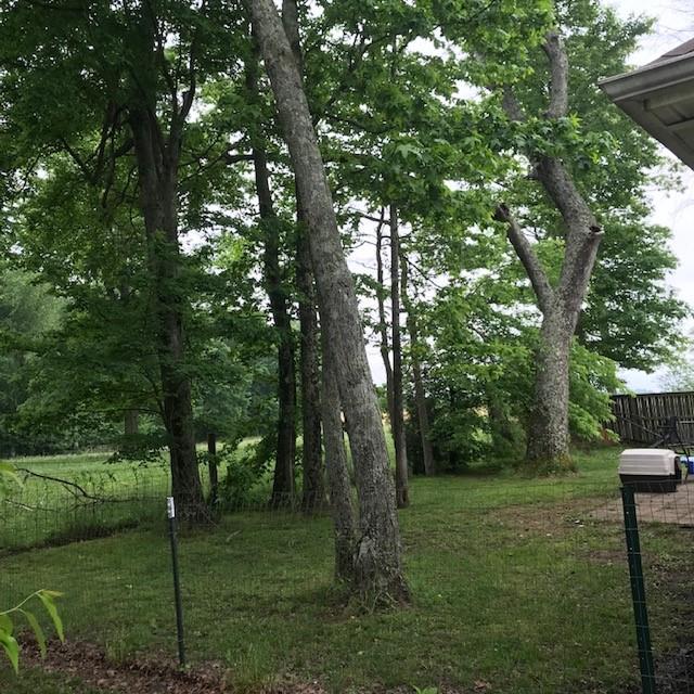 714 Arabian Lane Springfield, TN 37172 - Photo 23 of 25 Gallery Image 23