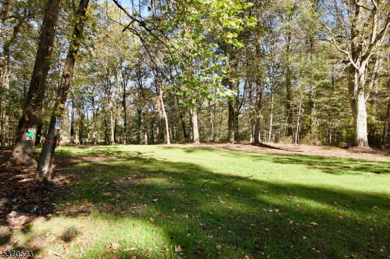 685 Shunpike Road Green Village, NJ 07935 - Photo 17 of 38 Gallery Image 17