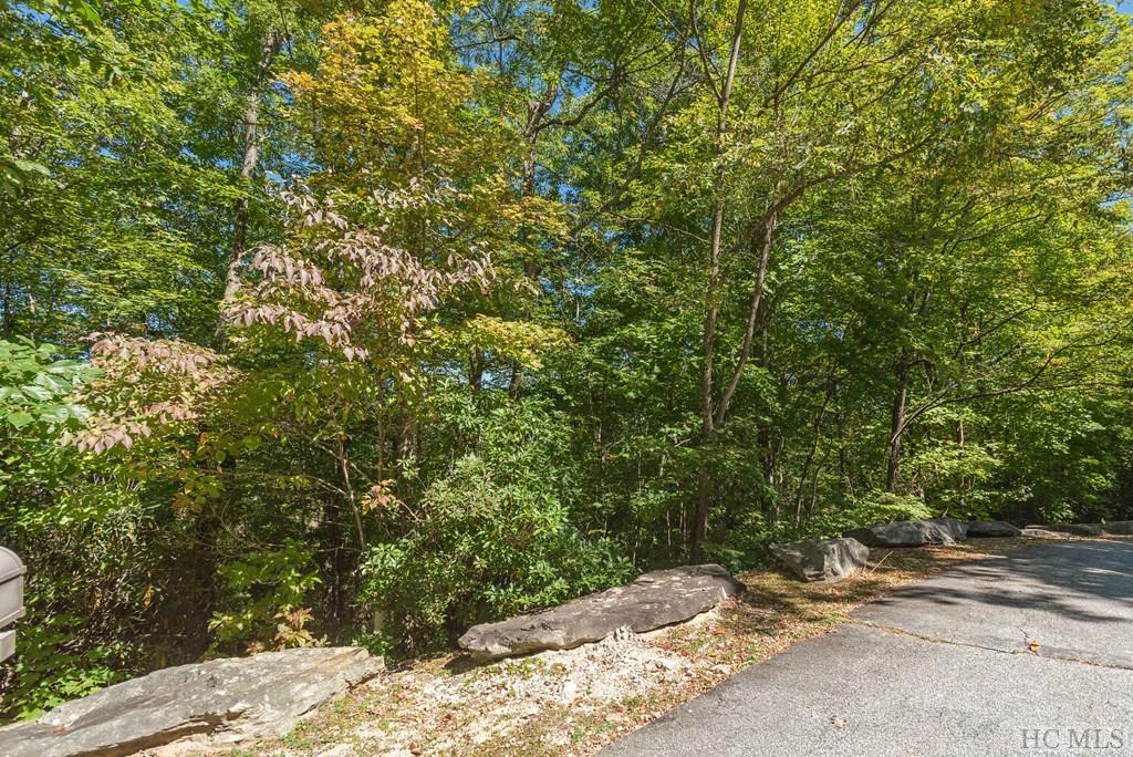 Lot 31 East Ridge Road Cashiers, NC 28717 - Photo 8 of 11 Gallery Image 8