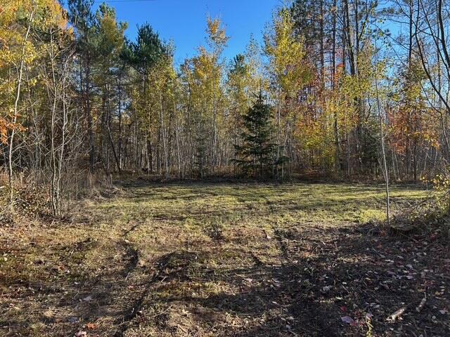 9 9 Mile Road Reed City, MI 49677 - Photo 11 of 49 image11