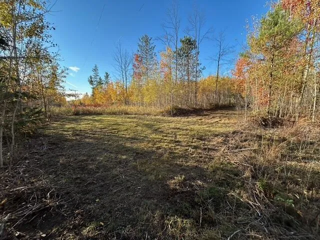 $95,000 | 9 9 Mile Road, Reed City, MI 49677