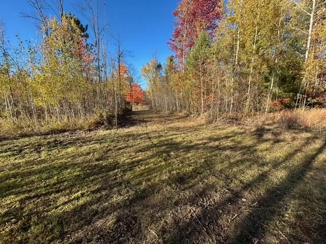 $95,000 | 9 9 Mile Road, Reed City, MI 49677