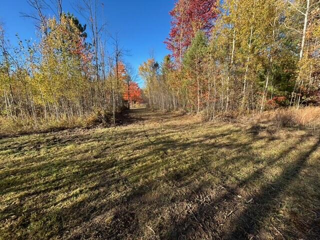 9 9 Mile Road Reed City, MI 49677 - Photo 13 of 49 image12