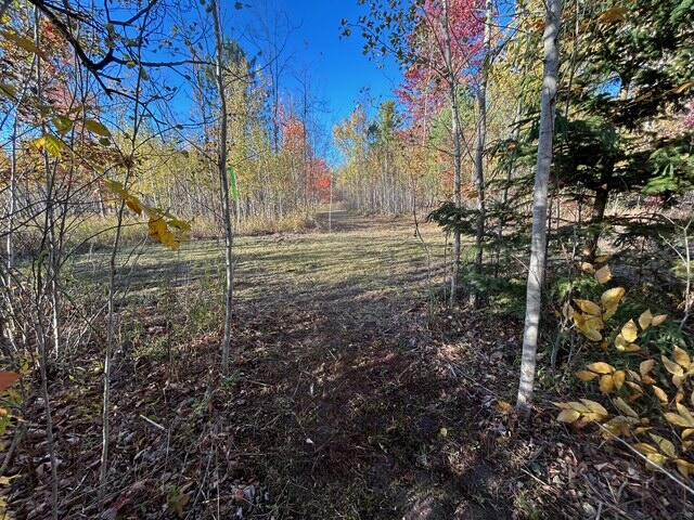 9 9 Mile Road Reed City, MI 49677 - Photo 14 of 49 image7