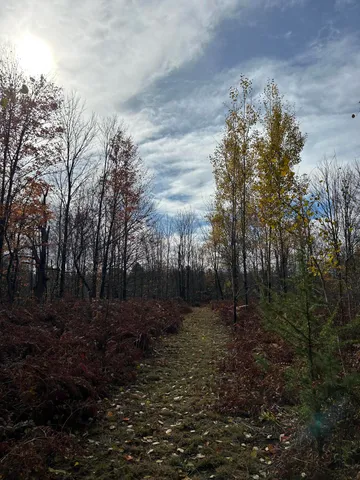 $95,000 | 9 9 Mile Road, Reed City, MI 49677