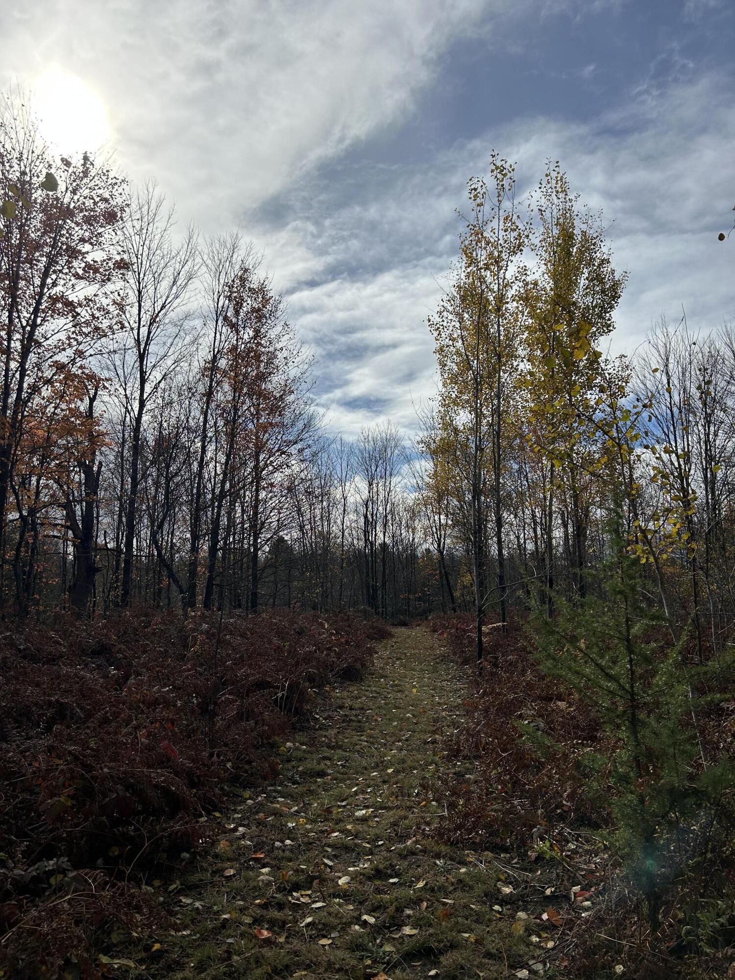 9 9 Mile Road Reed City, MI 49677 - Photo 15 of 49 IMG_2785