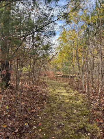 $95,000 | 9 9 Mile Road, Reed City, MI 49677