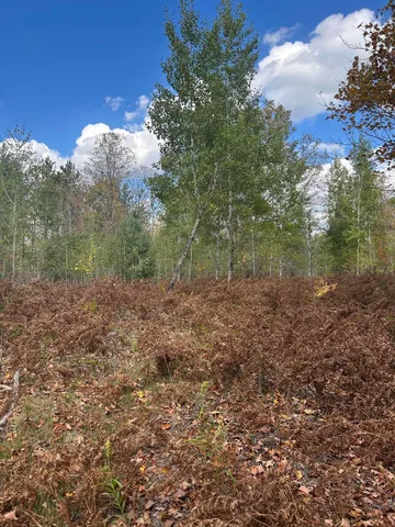 $95,000 | 9 9 Mile Road, Reed City, MI 49677