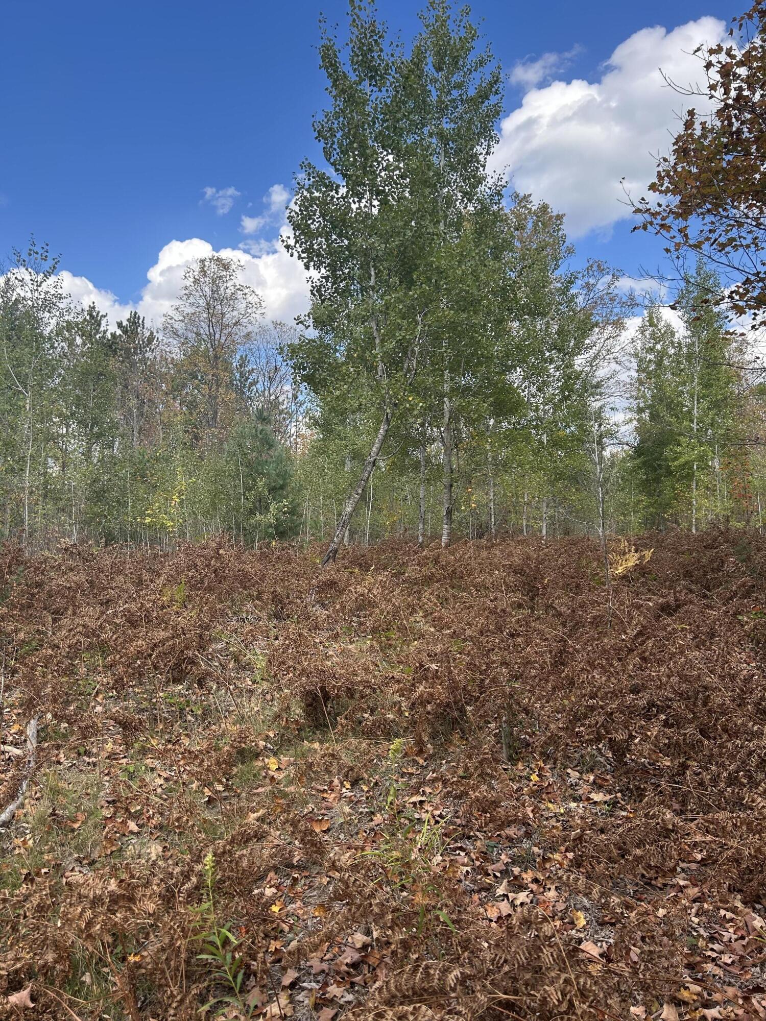 9 9 Mile Road Reed City, MI 49677 - Photo 17 of 49 IMG_2548