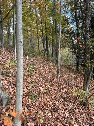 $95,000 | 9 9 Mile Road, Reed City, MI 49677