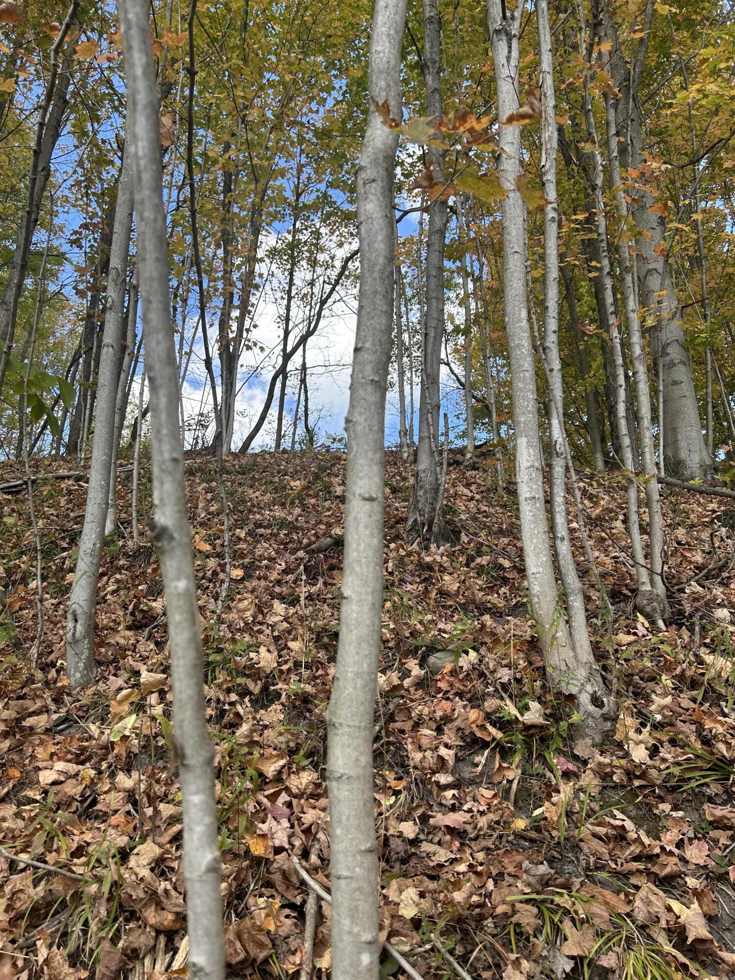 9 9 Mile Road Reed City, MI 49677 - Photo 19 of 49 IMG_2543