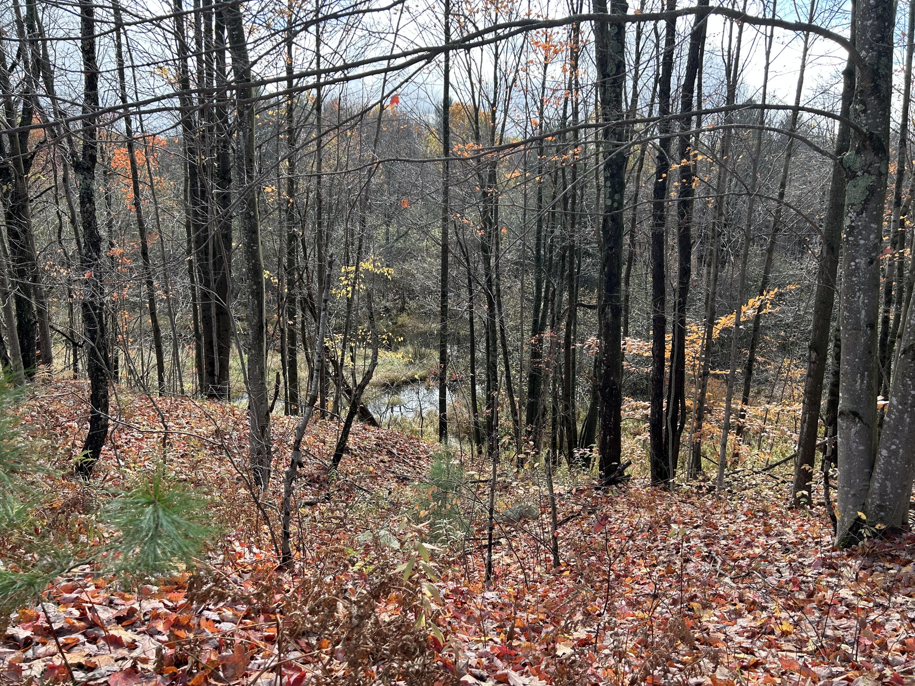 9 9 Mile Road Reed City, MI 49677 - Photo 20 of 49 IMG_2787