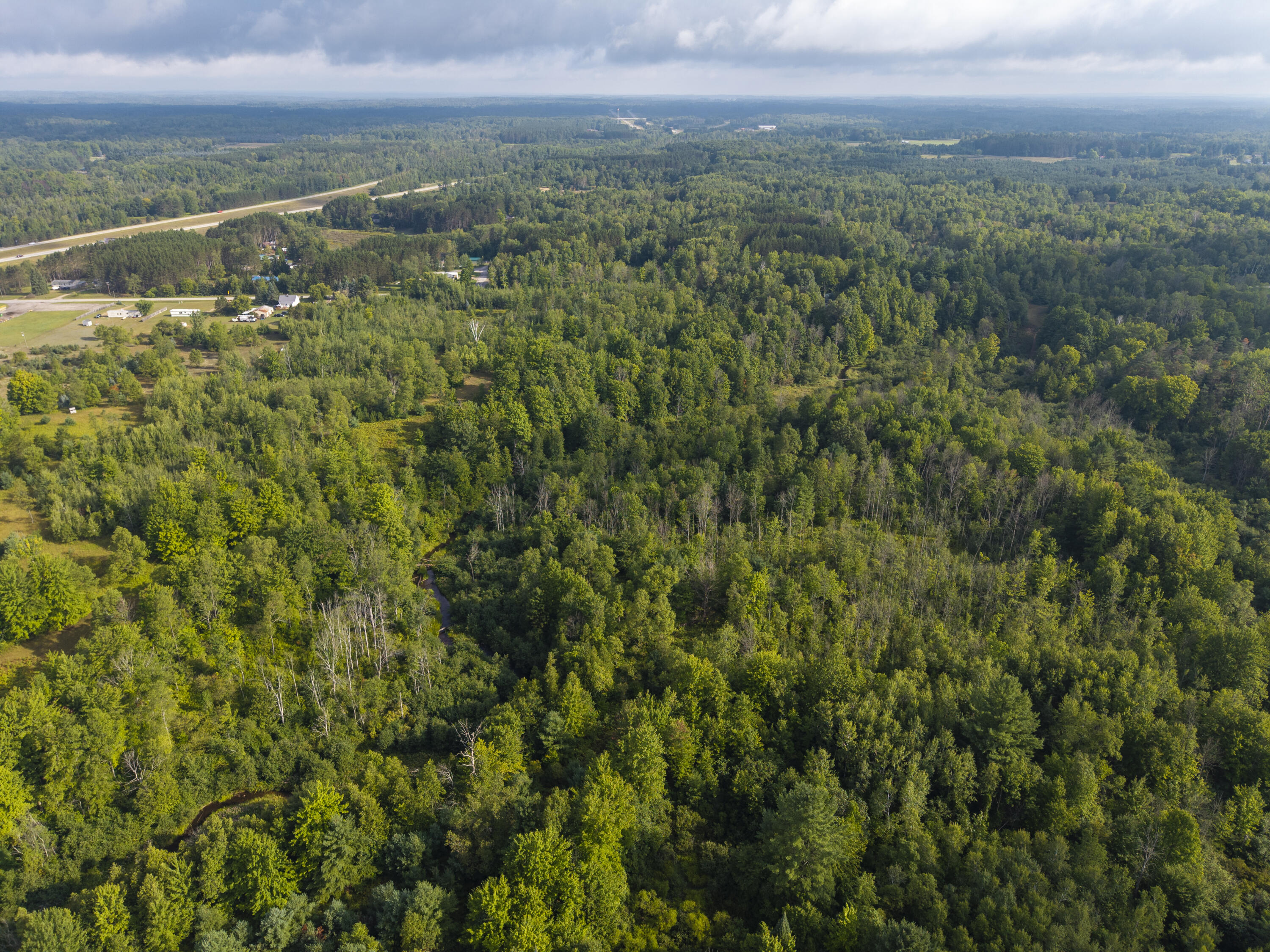 9 9 Mile Road Reed City, MI 49677 - Photo 2 of 49 VacantLot_OsceolaCountyMI_06 (1)