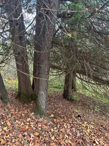 $95,000 | 9 9 Mile Road, Reed City, MI 49677