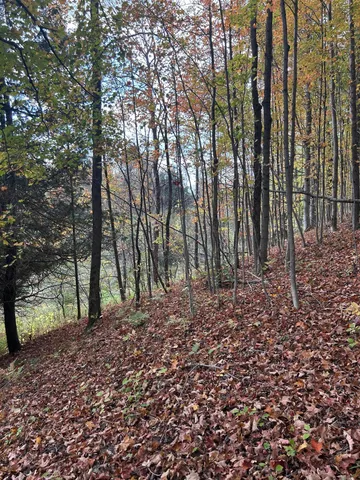 $95,000 | 9 9 Mile Road, Reed City, MI 49677