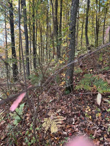 $95,000 | 9 9 Mile Road, Reed City, MI 49677