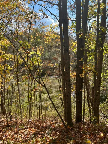 $95,000 | 9 9 Mile Road, Reed City, MI 49677