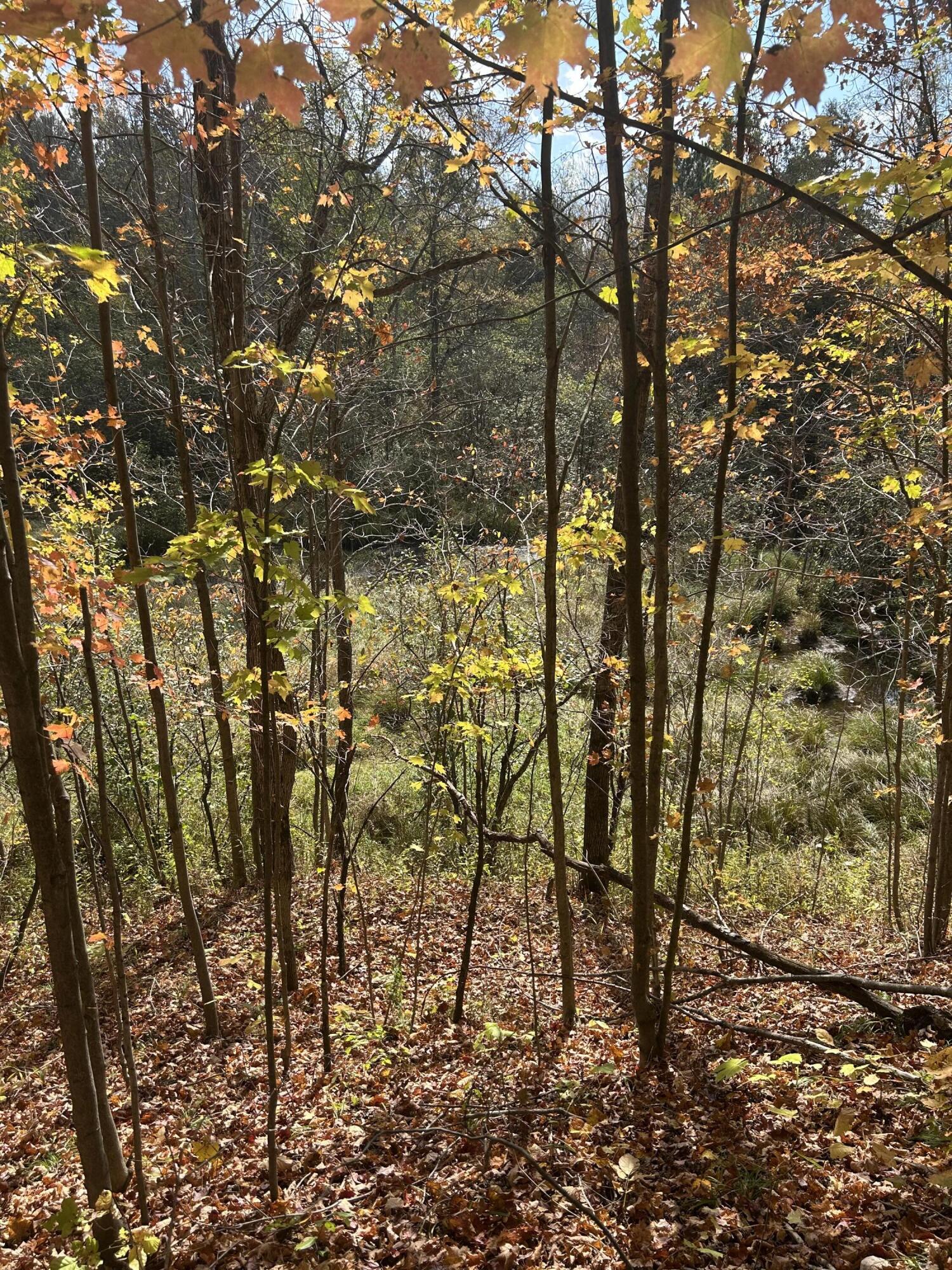 9 9 Mile Road Reed City, MI 49677 - Photo 26 of 49 IMG_2545