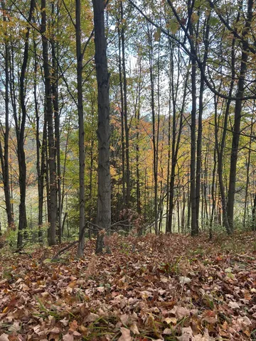 $95,000 | 9 9 Mile Road, Reed City, MI 49677