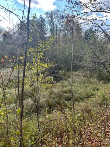 $95,000 | 9 9 Mile Road, Reed City, MI 49677