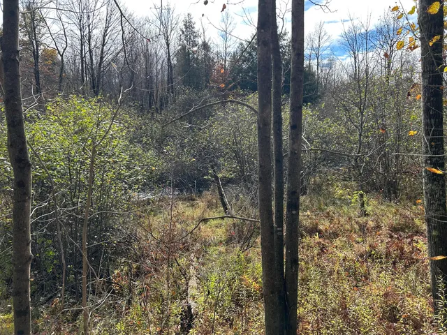 $95,000 | 9 9 Mile Road, Reed City, MI 49677