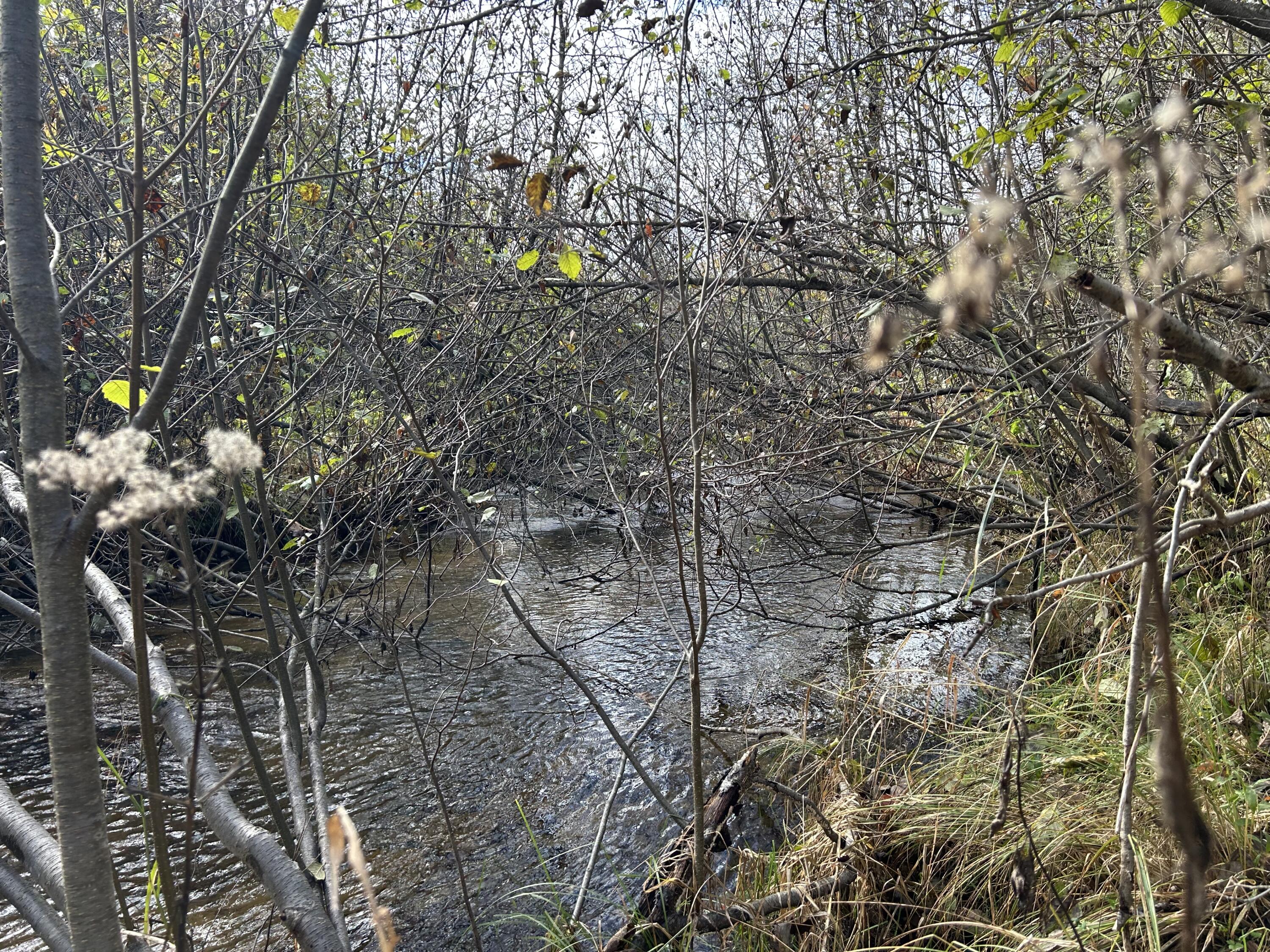 9 9 Mile Road Reed City, MI 49677 - Photo 30 of 49 IMG_2790
