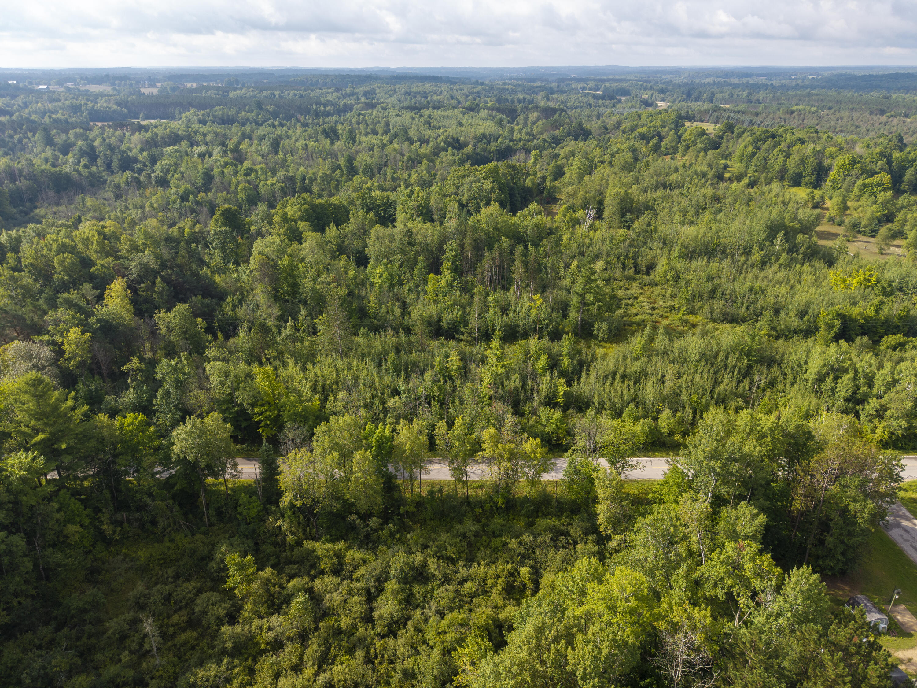 9 9 Mile Road Reed City, MI 49677 - Photo 32 of 49 VacantLot_OsceolaCountyMI_13