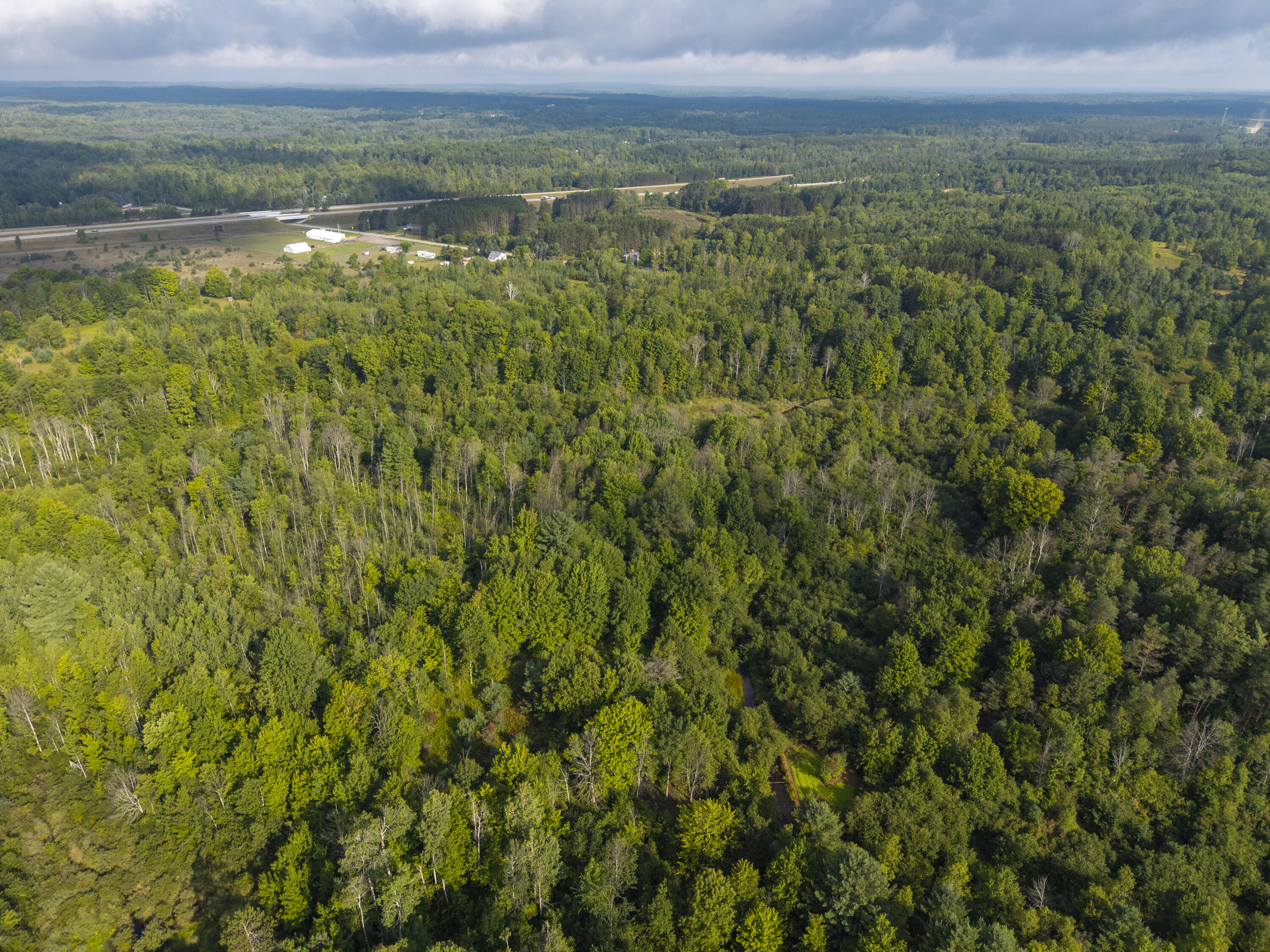 9 9 Mile Road Reed City, MI 49677 - Photo 34 of 49 VacantLot_OsceolaCountyMI_07 (1)