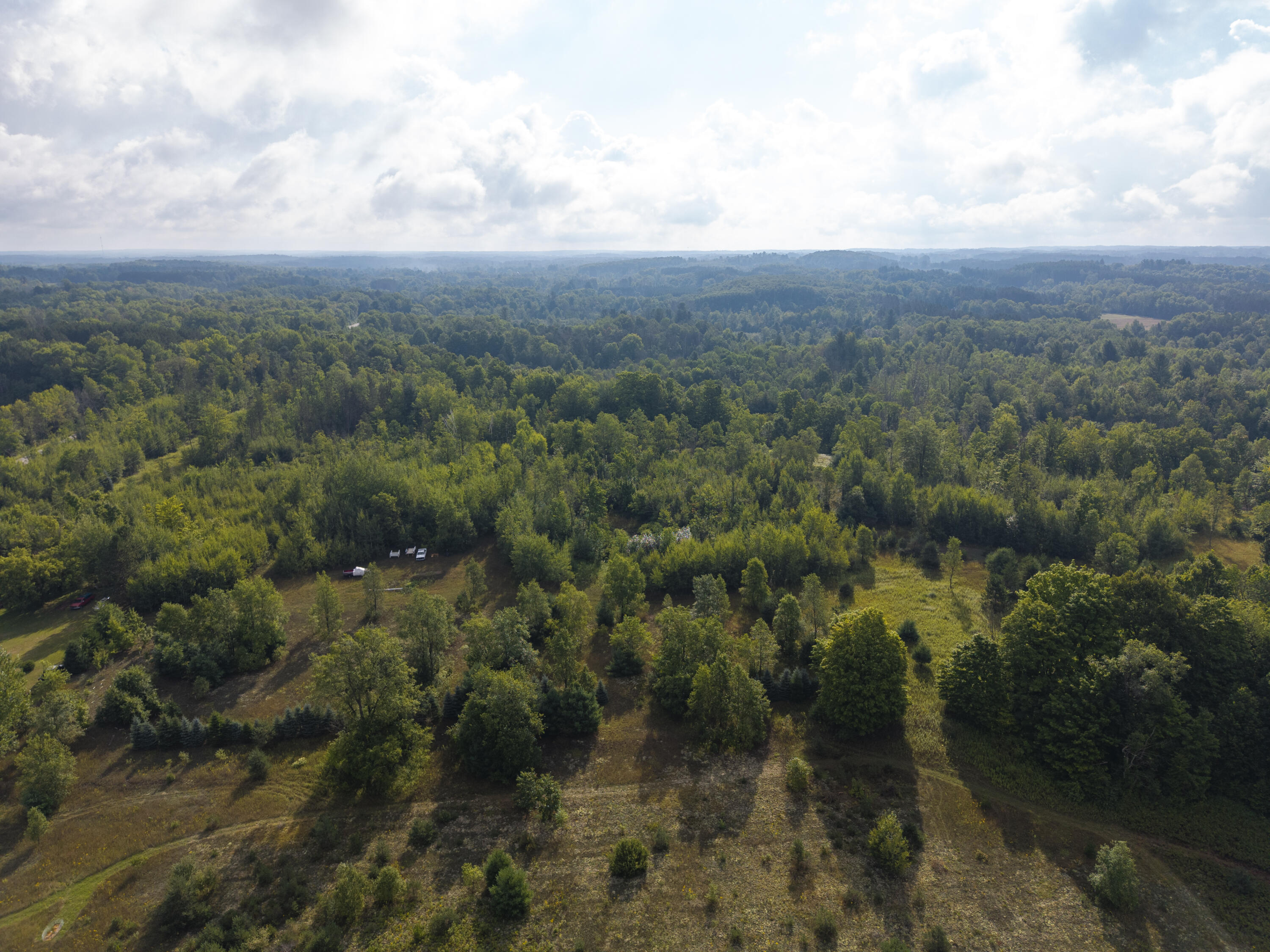 9 9 Mile Road Reed City, MI 49677 - Photo 39 of 49 VacantLot_OsceolaCountyMI_15