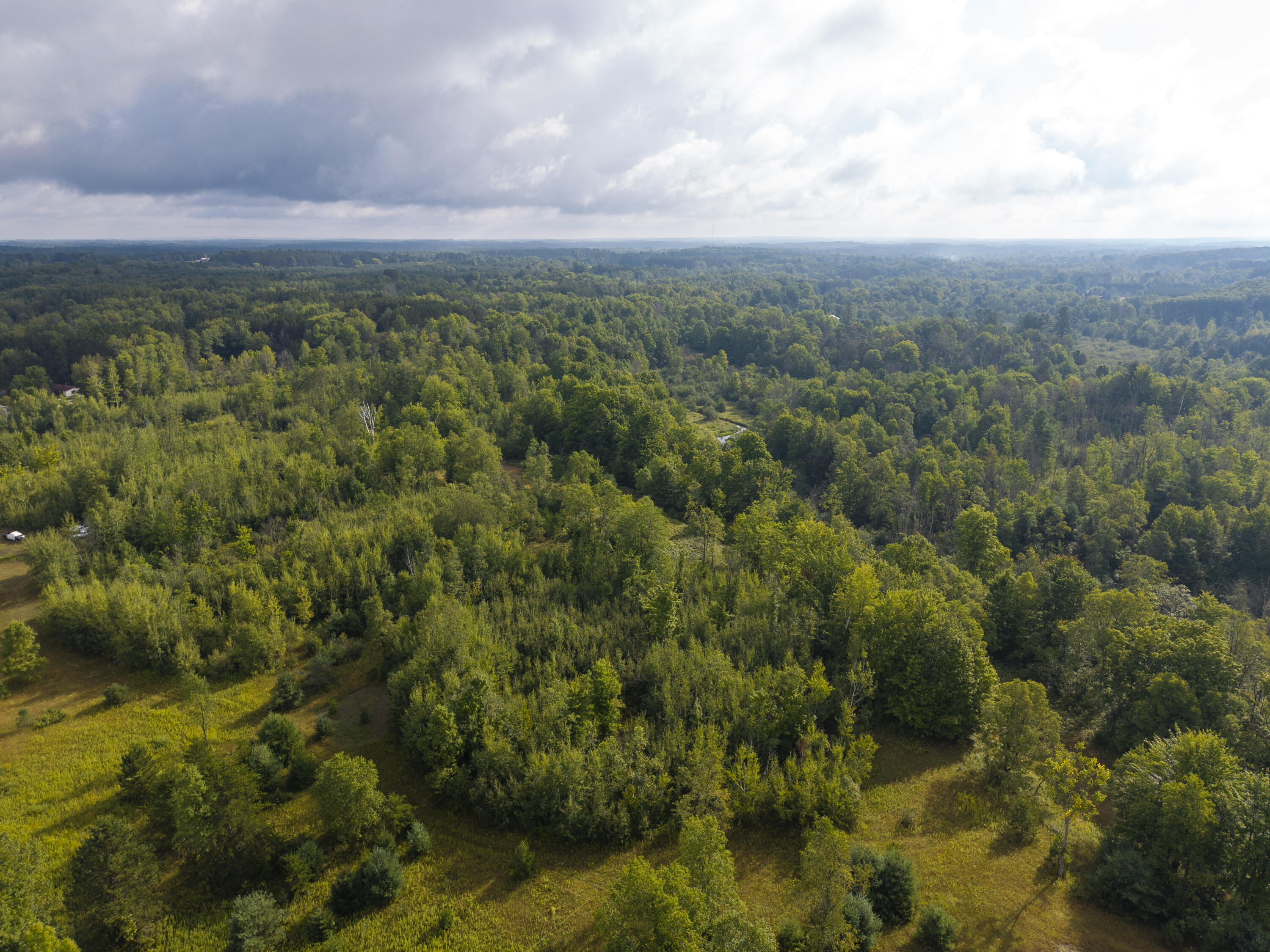 9 9 Mile Road Reed City, MI 49677 - Photo 40 of 49 VacantLot_OsceolaCountyMI_16