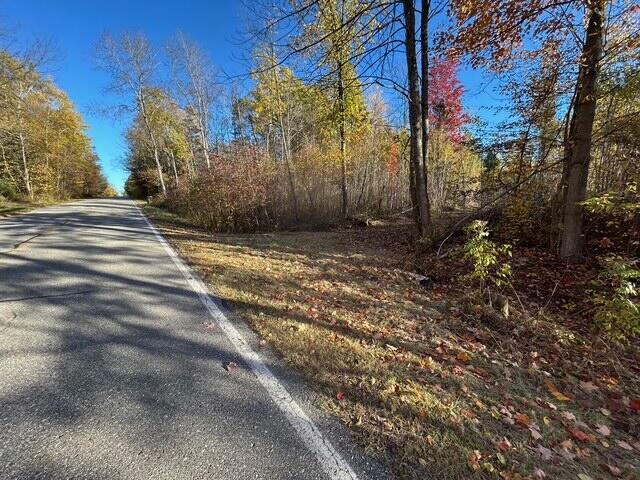 9 9 Mile Road Reed City, MI 49677 - Photo 4 of 49 image4