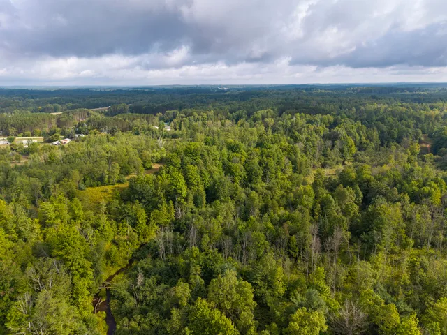 $95,000 | 9 9 Mile Road, Reed City, MI 49677