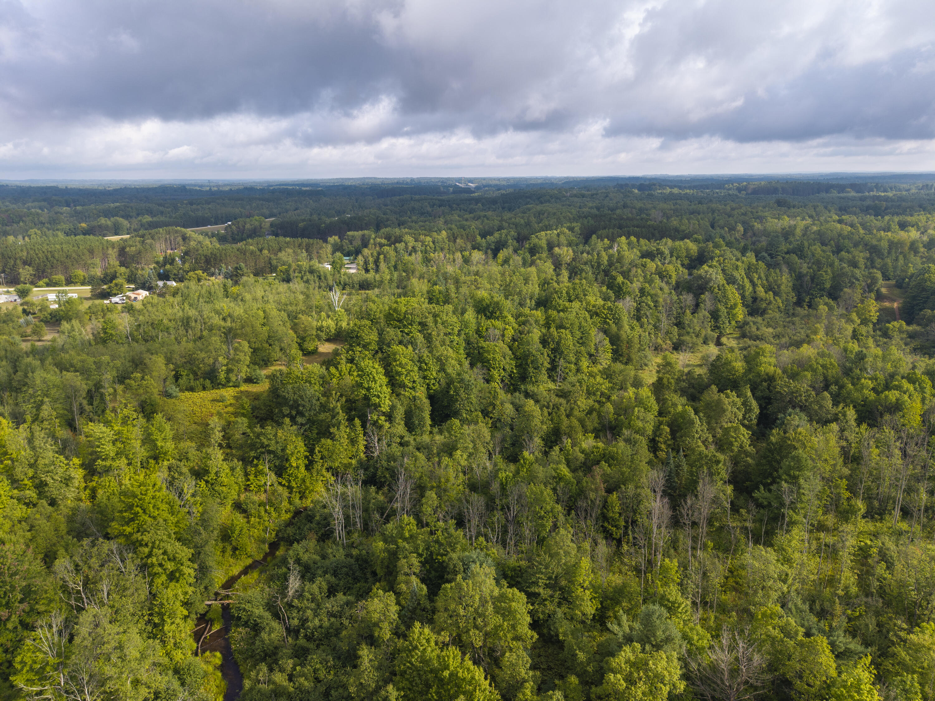 9 9 Mile Road Reed City, MI 49677 - Photo 41 of 49 VacantLot_OsceolaCountyMI_17