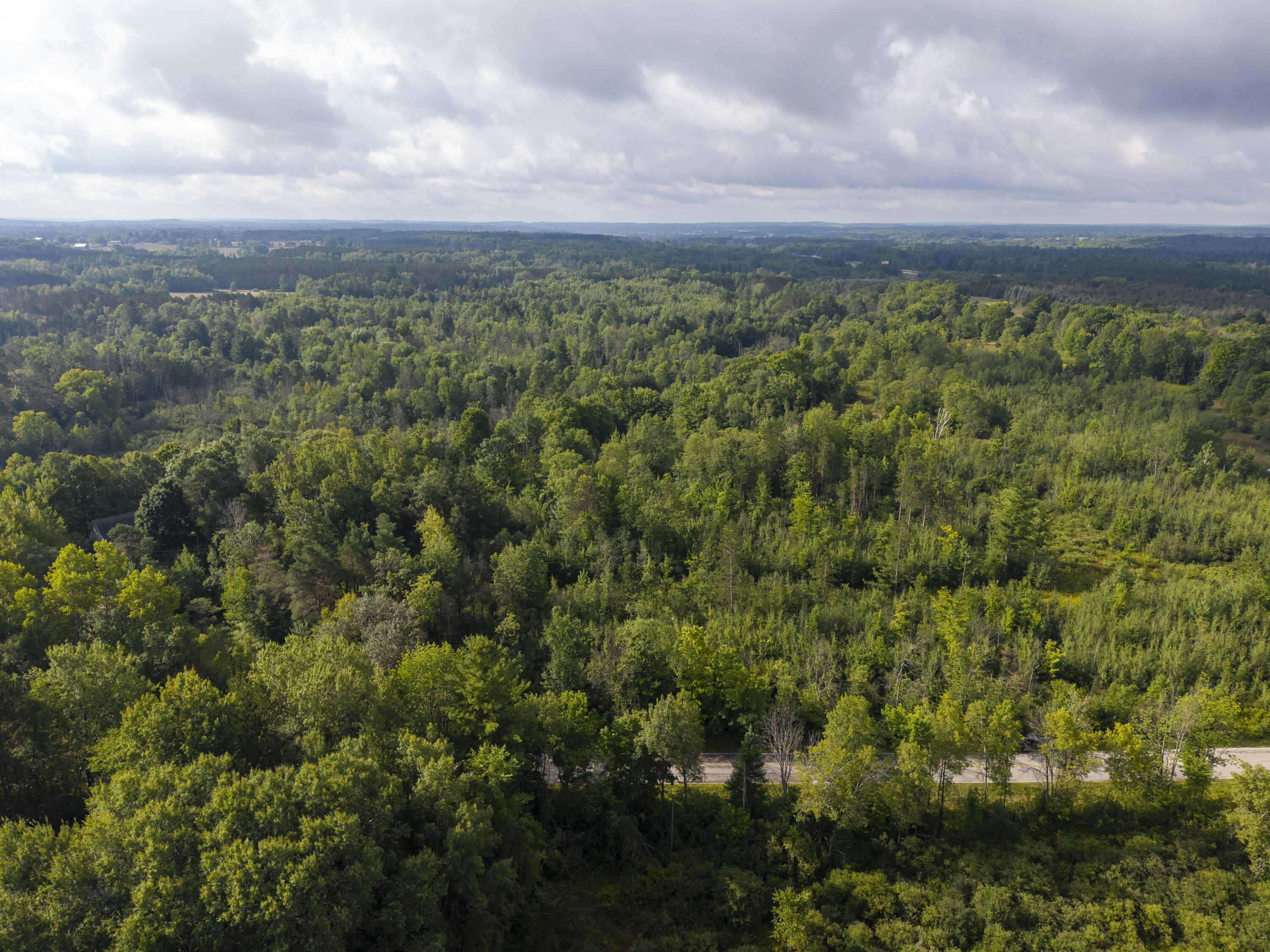 9 9 Mile Road Reed City, MI 49677 - Photo 45 of 49 VacantLot_OsceolaCountyMI_22