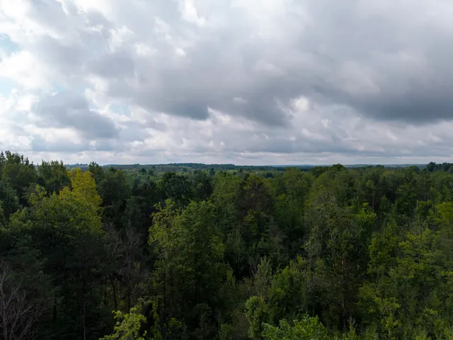 $95,000 | 9 9 Mile Road, Reed City, MI 49677