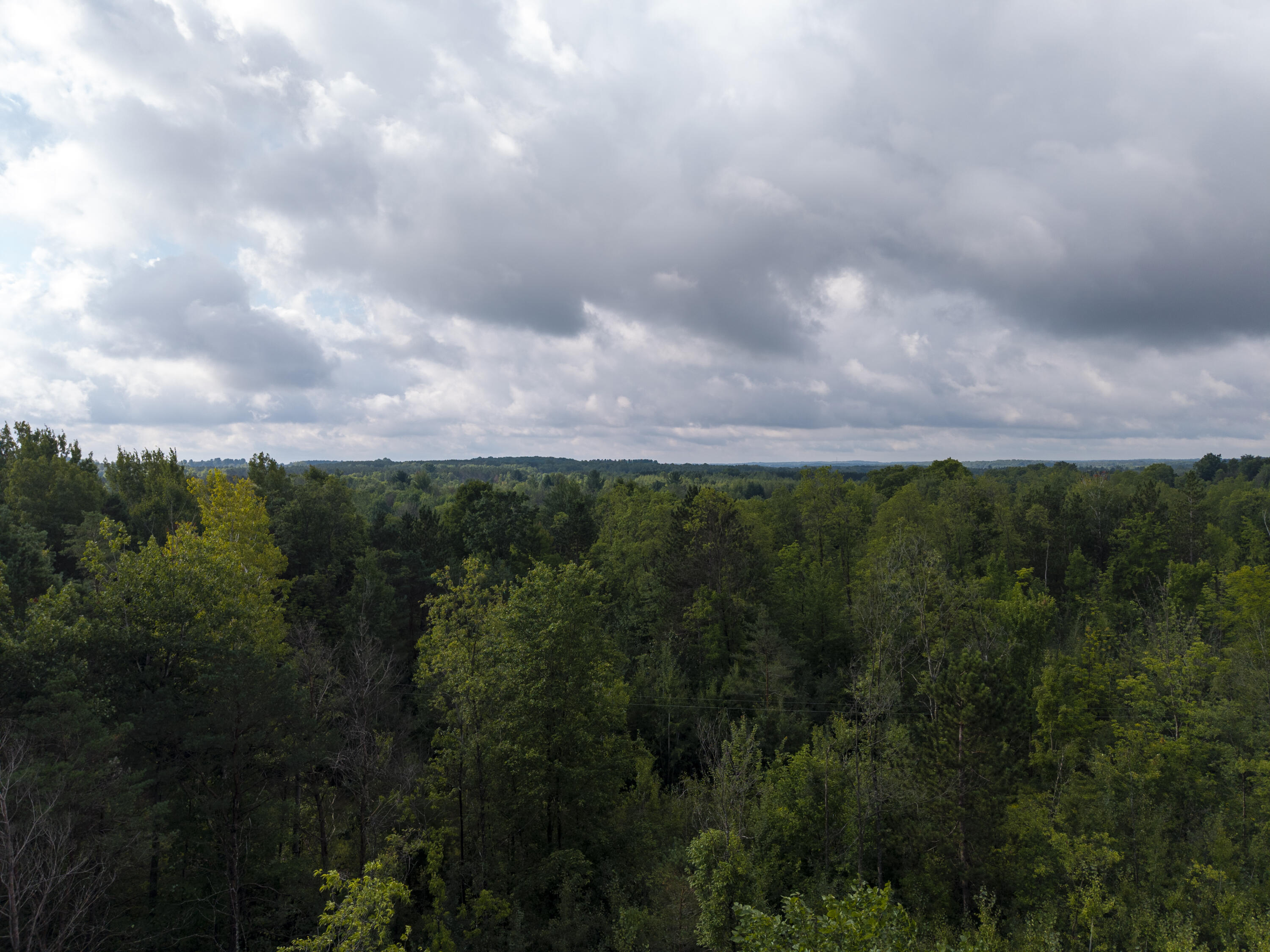 9 9 Mile Road Reed City, MI 49677 - Photo 46 of 49 VacantLot_OsceolaCountyMI_23