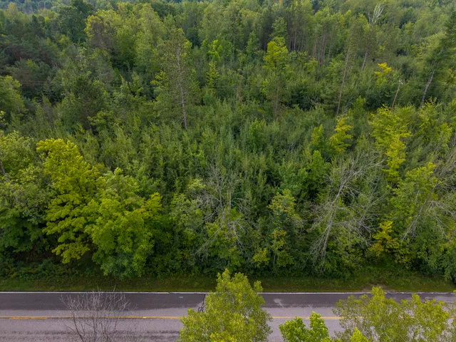 $95,000 | 9 9 Mile Road, Reed City, MI 49677