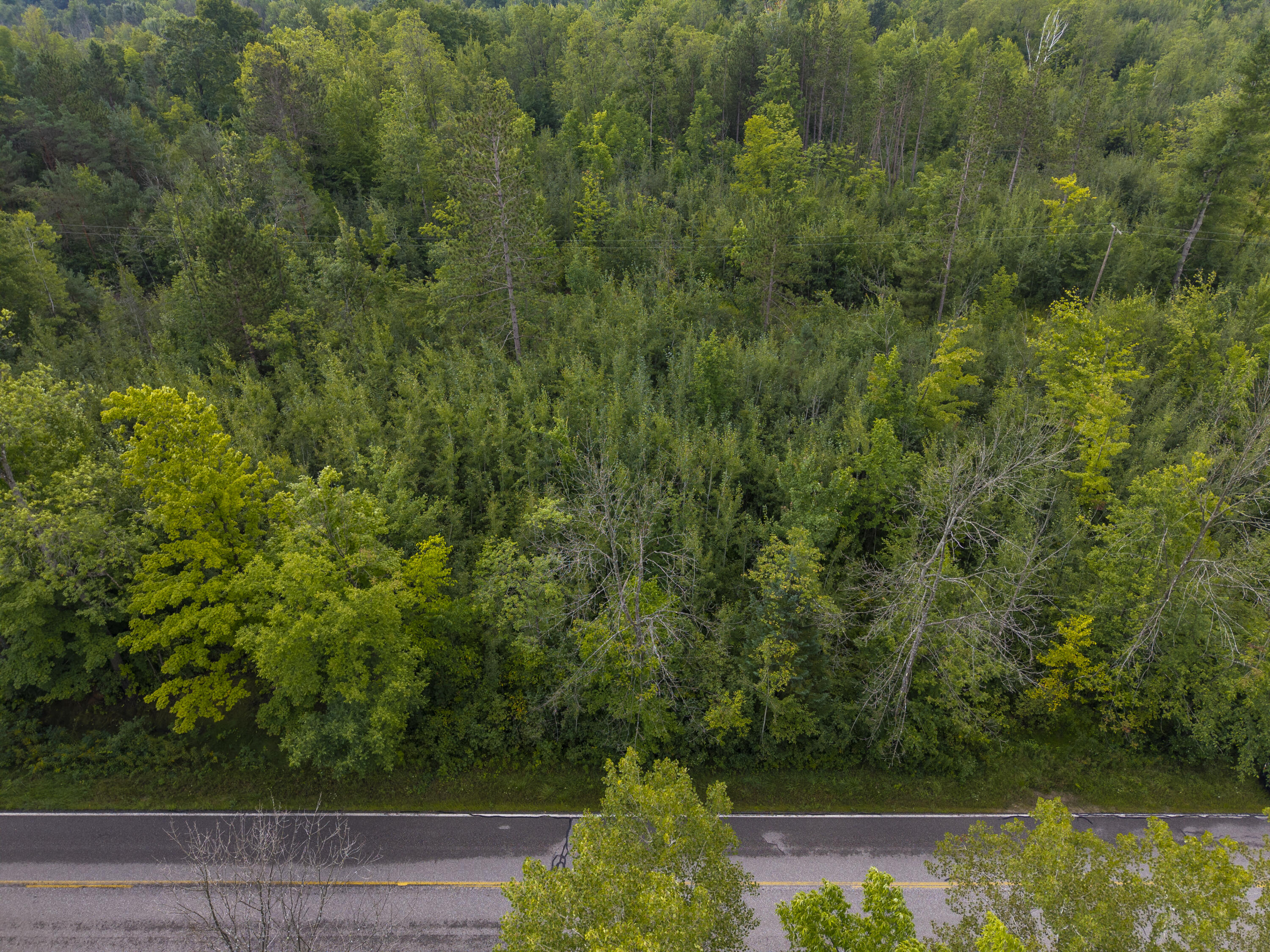 9 9 Mile Road Reed City, MI 49677 - Photo 47 of 49 VacantLot_OsceolaCountyMI_26 (1)