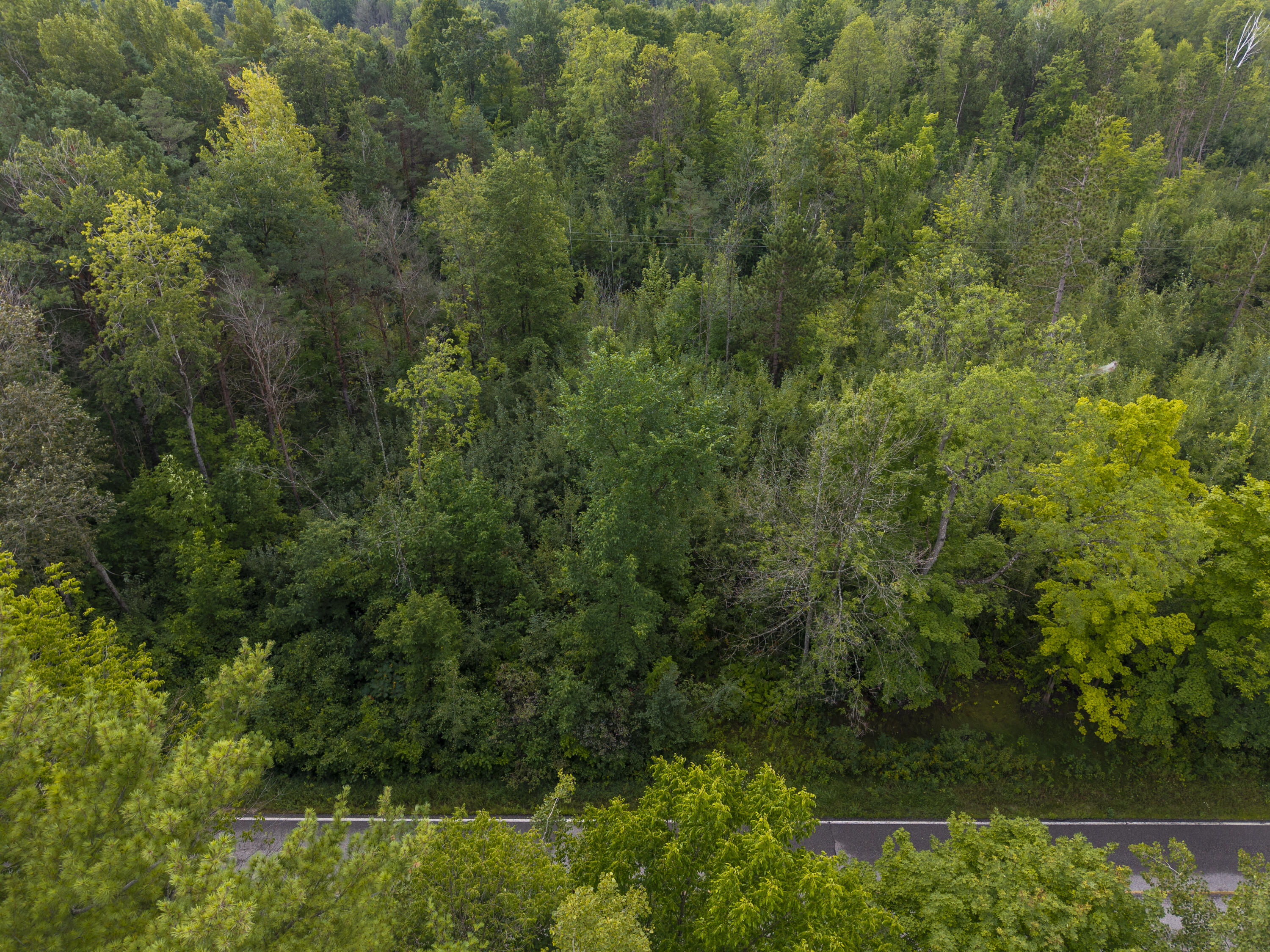 9 9 Mile Road Reed City, MI 49677 - Photo 48 of 49 VacantLot_OsceolaCountyMI_27 (1)