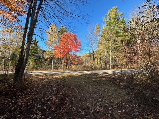 9 9 Mile Road Reed City, MI 49677 - Photo 49 of 49 image2