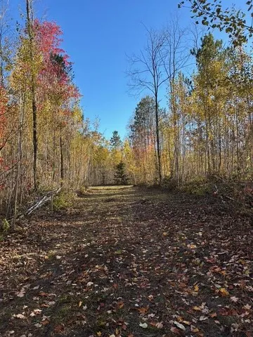 $95,000 | 9 9 Mile Road, Reed City, MI 49677