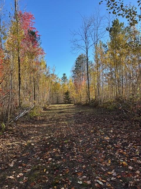 9 9 Mile Road Reed City, MI 49677 - Photo 6 of 49 image6