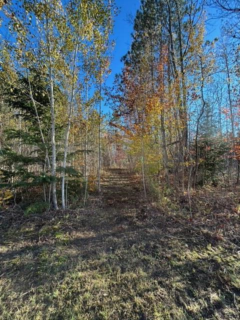 9 9 Mile Road Reed City, MI 49677 - Photo 7 of 49 image3