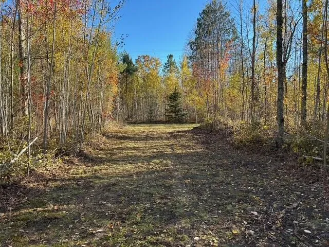 $95,000 | 9 9 Mile Road, Reed City, MI 49677